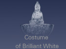 Costume of Brilliant White
